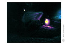 BeachAndParty-2007_0043