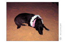 BeachAndParty-2007_0070