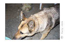 Party-2006_0009