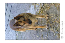 Party-2006_0122
