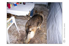 Silvester-2005-Partybilder_0036