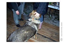 Silvester-2005-Partybilder_0058