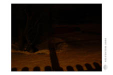 Silvester-2005-Bilder danach_0001