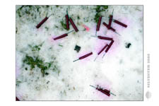 Silvester-2005-Bilder danach_0015