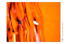 Silvester-2005-Bilder danach_0019